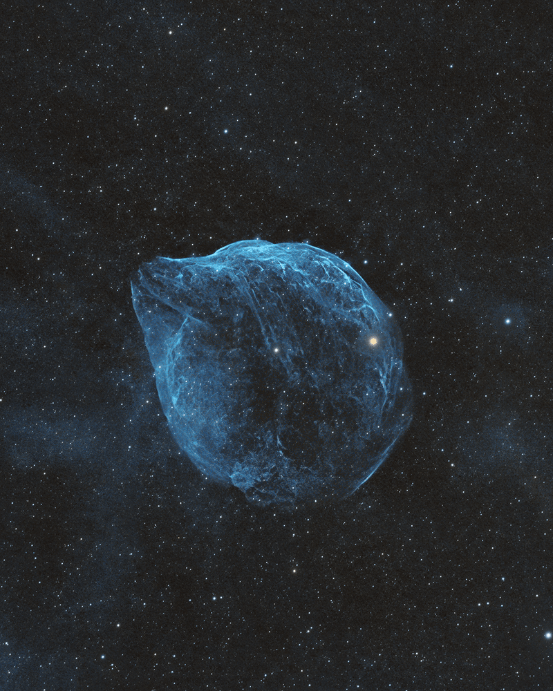 Winner Image of Feb 2026