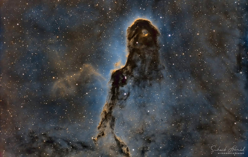 Winner Image of Nov. 2025