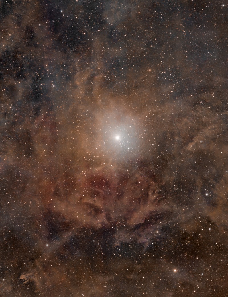 Winner Image of the Year 2025