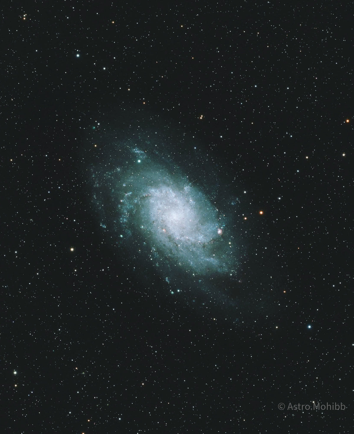 M33 Triangulum Galaxy