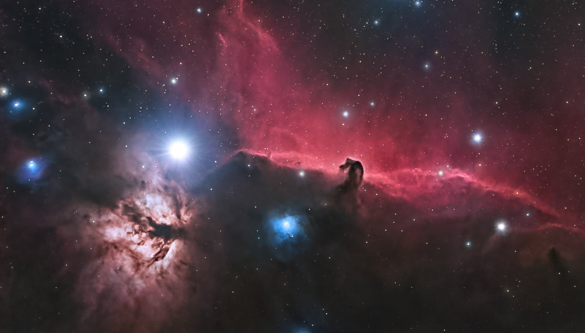 Runner Up Image Feb 2026