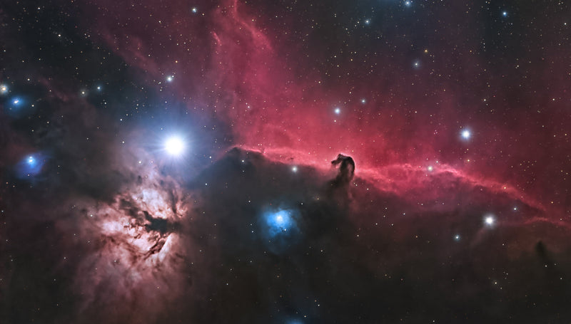 Runner Up Image Feb 2026