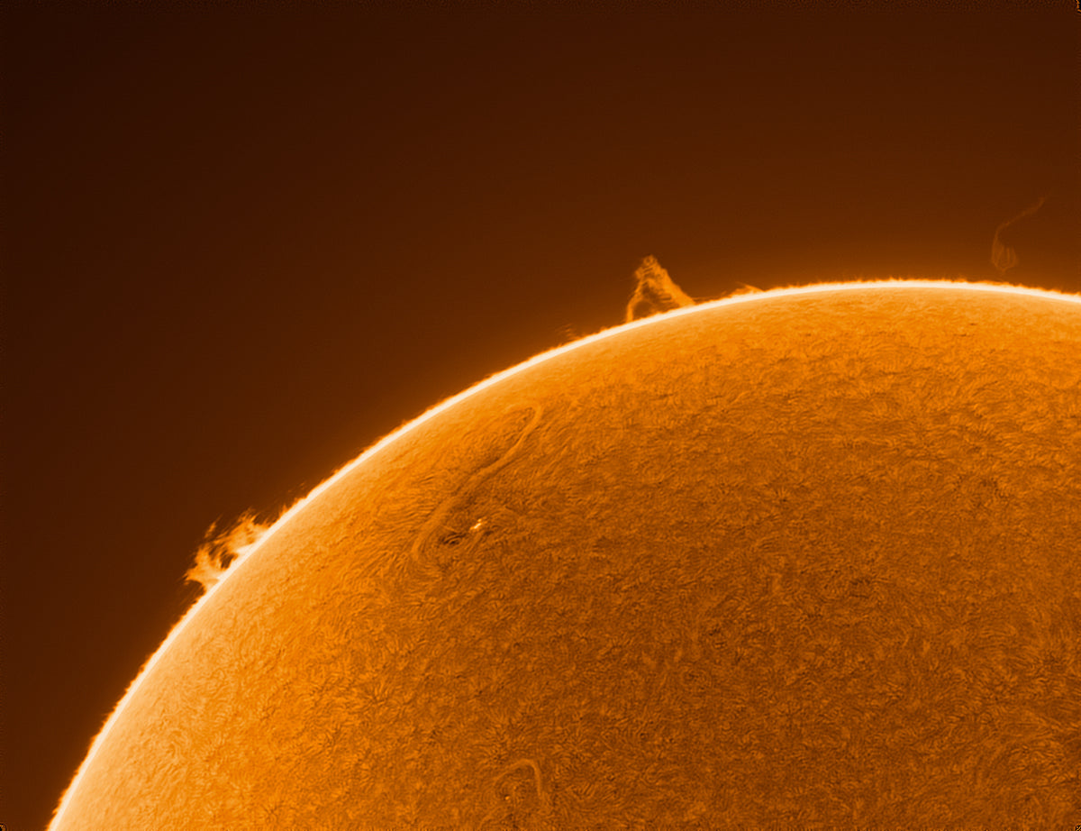 Runner Up Image of Jan 2026